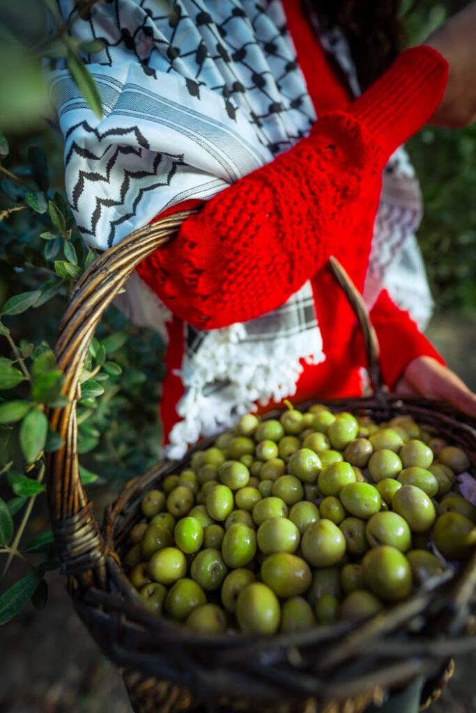 Close-up of a woman holding a basket of freshly picked green olives outdoors.